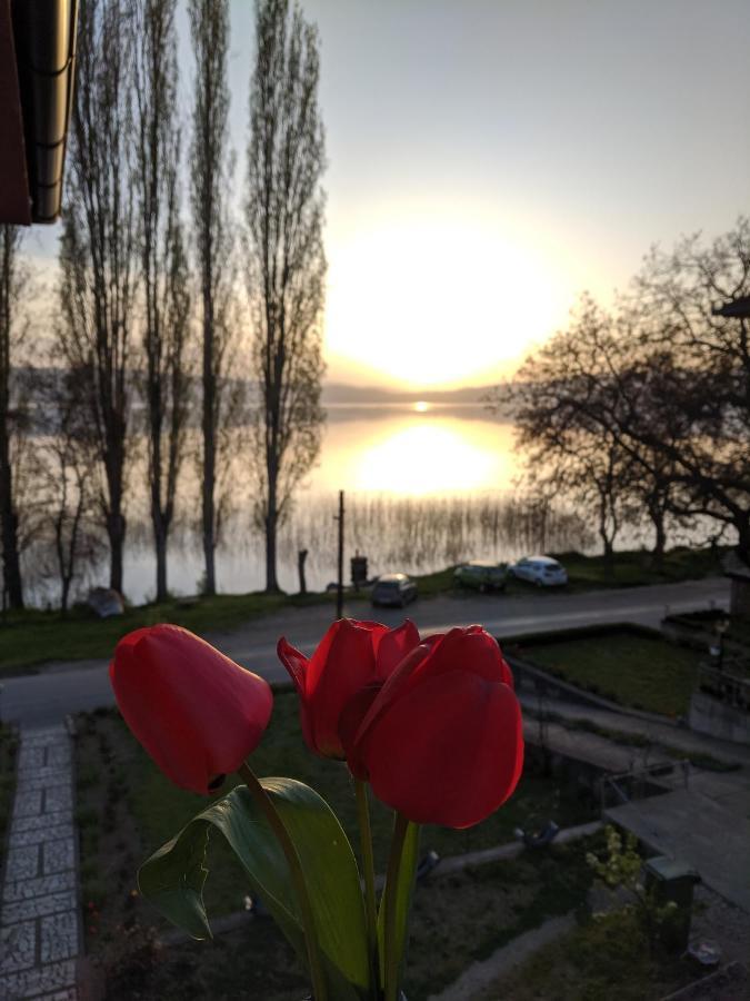 Ajkoski Apartments Пештани Экстерьер фото